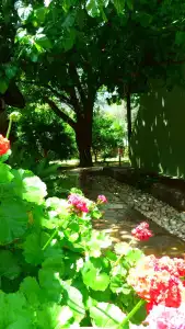 Simge Pension - 12