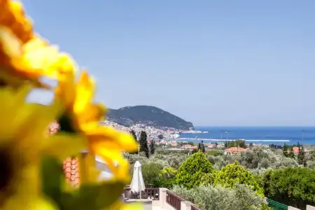 Skopelos Holidays & Spa - 59