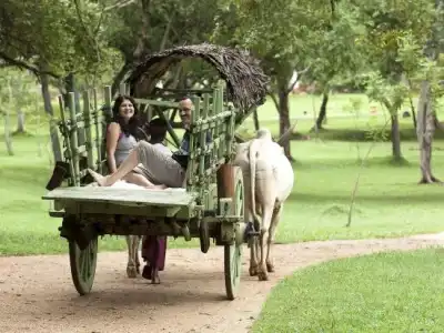 Amaya Lake Dambulla - 6
