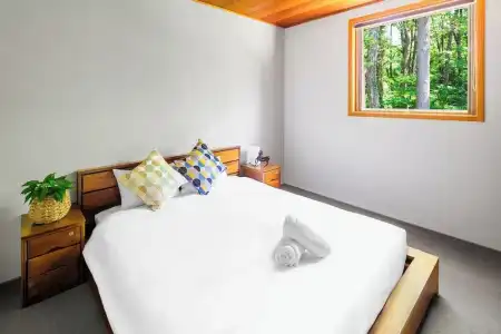 Phoenix Cocoon - 75