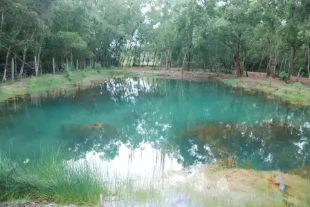 Villa Lien Tho - 10