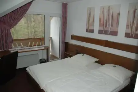 Pension Haus Diefenbach - 65