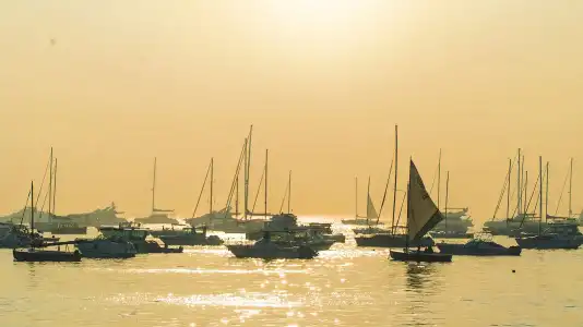 Harbour View - 12