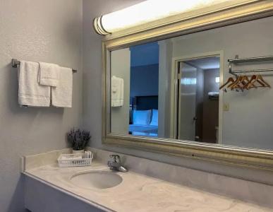 Rodeway Inn Rochester Airport - 21