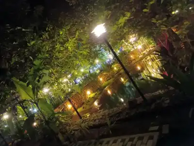 Lucky Beach Resort - 32
