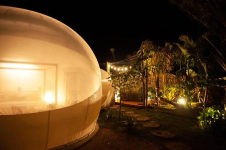 Green Land Bubble Glamping - 9