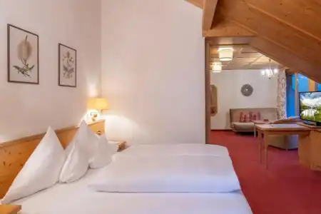Montafoner Hof - 90