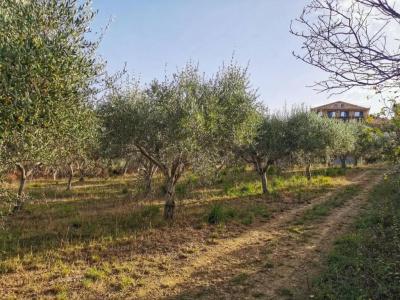 Tenuta Santa Caterina - 74