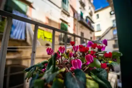 B&B Terre Dipinte - 60