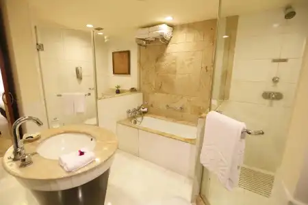 Taj Bengal - 8