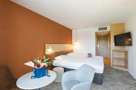 Ibis Styles Aix-les-Bains Domaine de Marlioz - 60