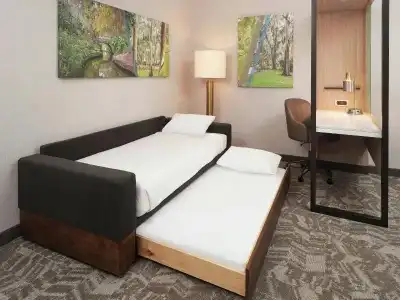 SpringHill Suites by Marriott - 36