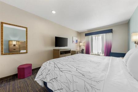 Best Western Plus San Antonio East Inn & Suites - 42