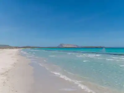 Gallura (TEO261) - 10