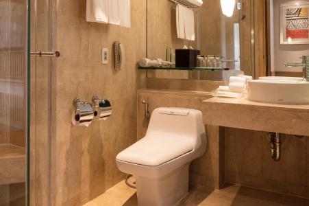 Holiday Inn BANGKOK by IHG - 7