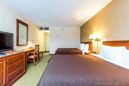 Universel Montreal - 3
