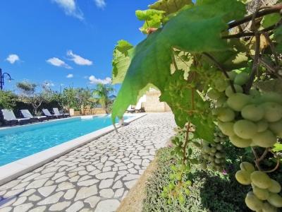 Villa B&B Antiche Macine del Salento - 14