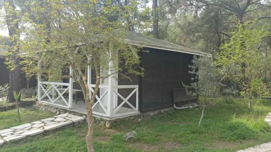 Olympos Angels Garden - 42