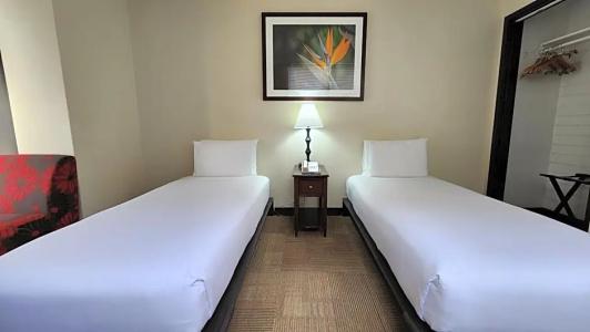 Stay Waikiki - 36