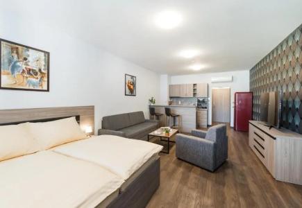 Barok and Apartments - 48