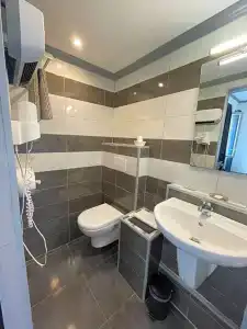 Hôtel Le Dauphin Bleu - 56