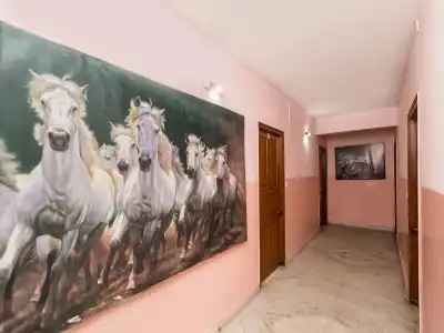 Malik Guest House - 8