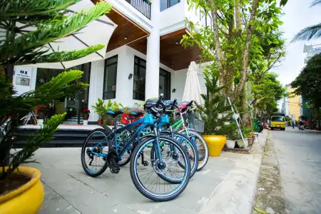 Eco Green Boutique - 21