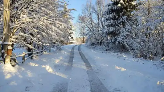 Mini Zakrut - 11