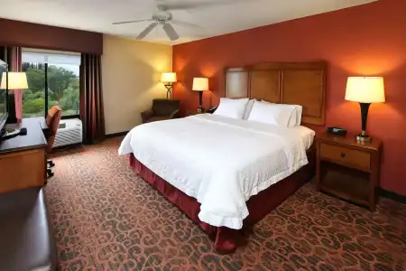 Hampton Inn & Suites Tucson-Mall - 49