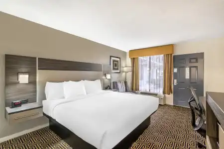 Best Western Central Inn - 50