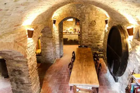 Fattoria San Donato - 14