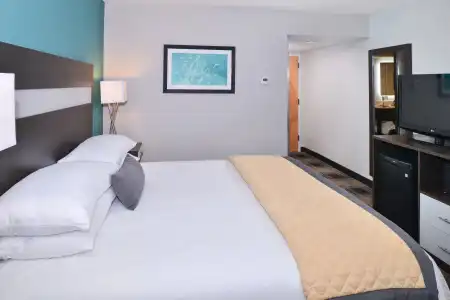Wingate By Wyndham - Greenville-Airport - 3