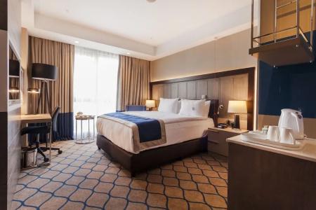 Holiday Inn KAYSERI - DUVENONU by IHG - 51
