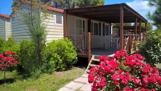 Camping Le Tamerici - 18