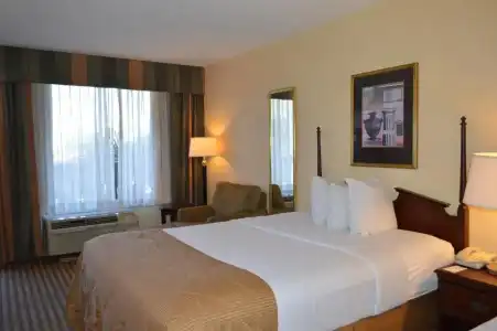 Opal & Suites - 45