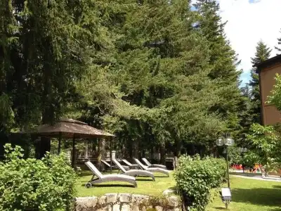 LH il Picchio - 18