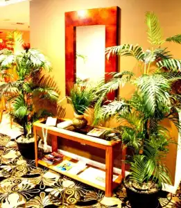 Homestyle Inn & Suites - 11