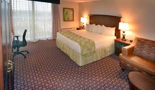 Rosen Inn, closest to Universal - 55