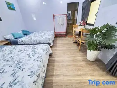Hue Lotus Homestay - 85