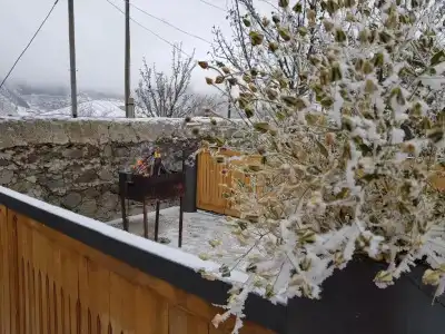 Gogi Alibegashvili Guesthouse - 8