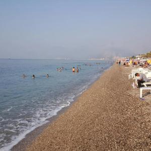 Kartal - 37