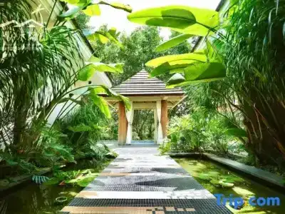 Huizhou Migratory Birds Resort - 137