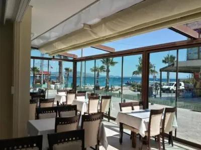 Lion Didim - 10