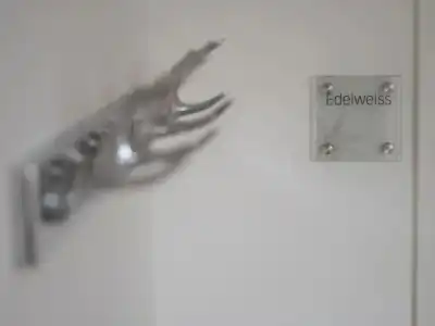 Edelweiss - 131