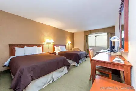 Universel Montreal - 5