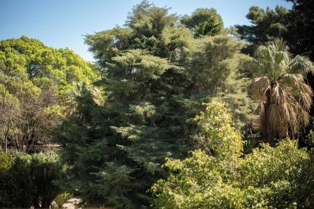 Parco delle Fontane - 53