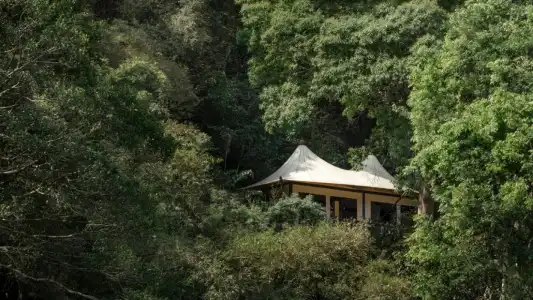 Four Seasons Tented Camp Golden Triangle - 21
