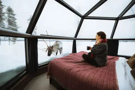 Ranua Resort Arctic Igloos - 1
