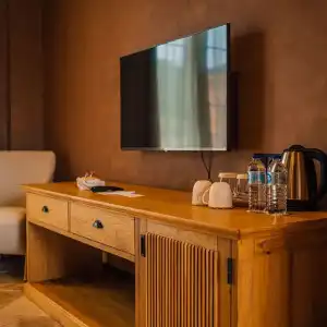 The Remote - 20