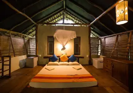 Back of Beyond - Pidurangala - 59